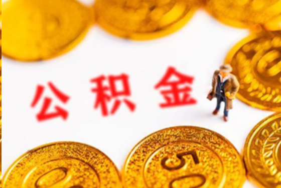 绥化在职公积金提取条件