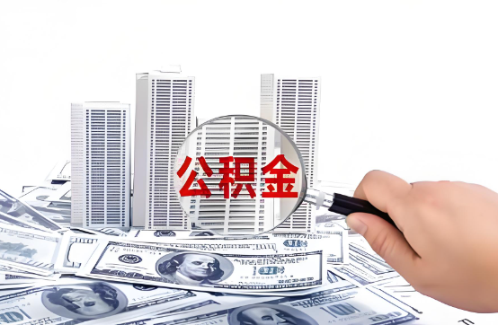 绥化在职公积金代办服务-便捷高效，助力您的公积金管理