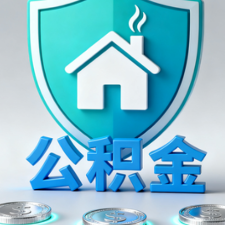 绥化公积金代办行业观察：谁在提供专业服务？